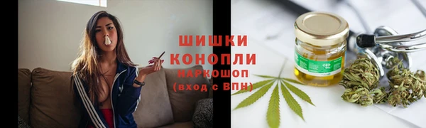 хмурый Бородино