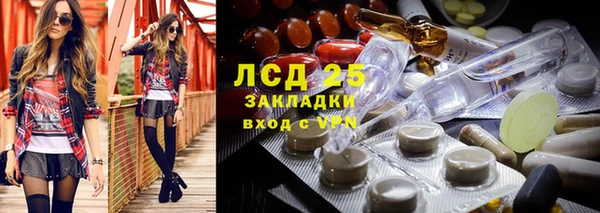 хмурый Бородино