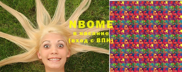 хмурый Бородино
